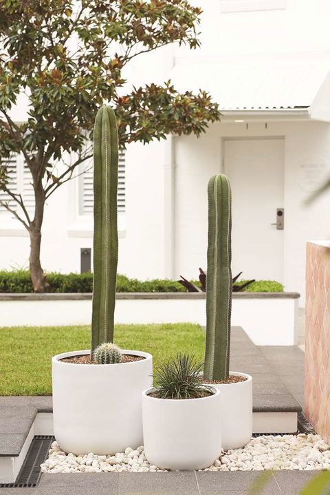 Adina Apartment Hotel Chippendale - Hotel Accommodation 0