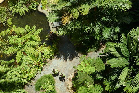 DoubleTree by Hilton Cairns - Hotel Accommodation 2