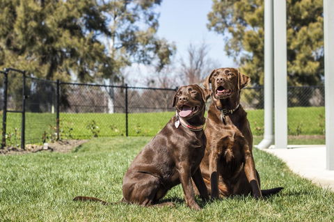 Abode Narrabundah - Hotel Accommodation 21