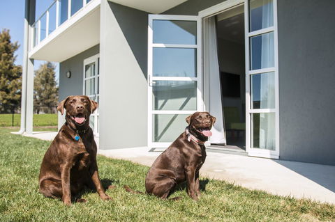 Abode Narrabundah - Hotel Accommodation 20