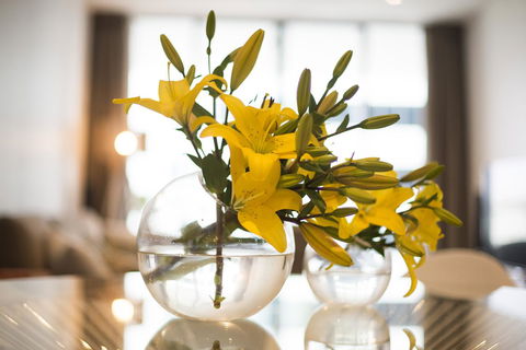 KUI - Manhattan Apartments - Hotel Accommodation 0