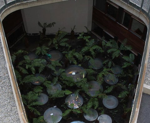 Canberra Luxury Apartment 3 - Hotel Accommodation 32