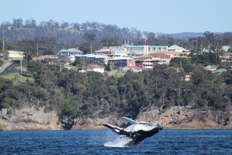 Heritage House Motel & Units - Hotel Accommodation 27