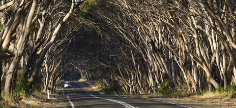 Mercure Kangaroo Island Lodge - Hotel Accommodation 40