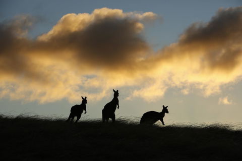 Sky House Kangaroo Island - Hotel Accommodation 37