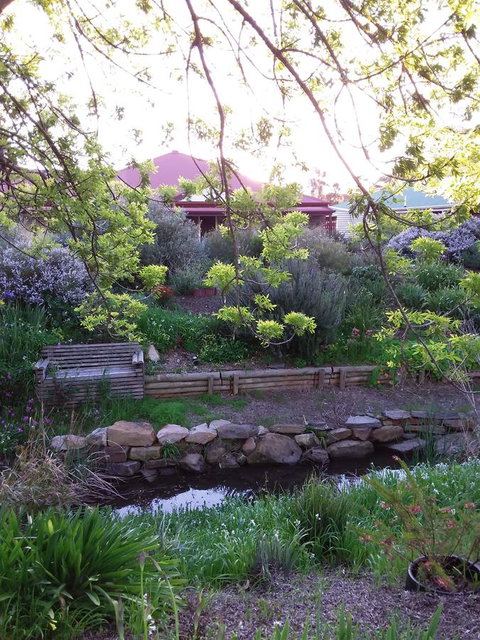 Frog Song At Willunga - Hotel Accommodation 0