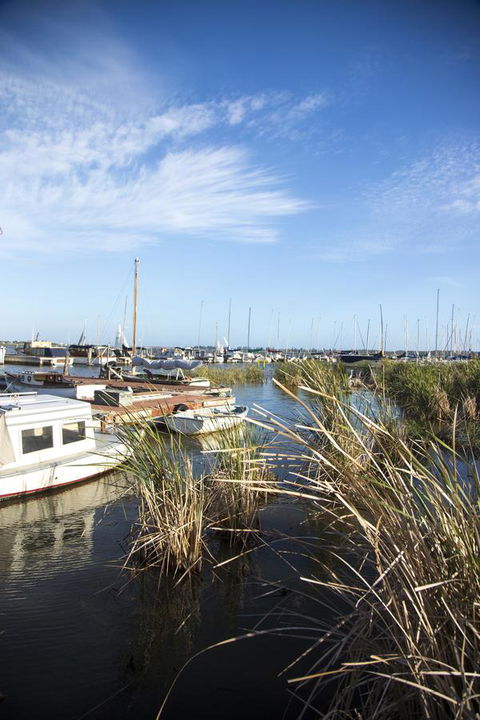 Wayfarers Cottage - Hotel Accommodation 15