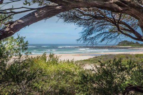 BIG4 Tasman Holiday Parks - Racecourse Beach - Hotel Accommodation 7