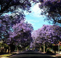 Monaco Court Apartment Adelaide - Hotel Accommodation