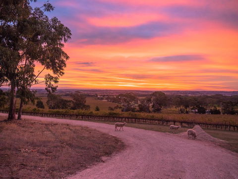 Shadow Creek McLaren Vale - Hotel Accommodation 24