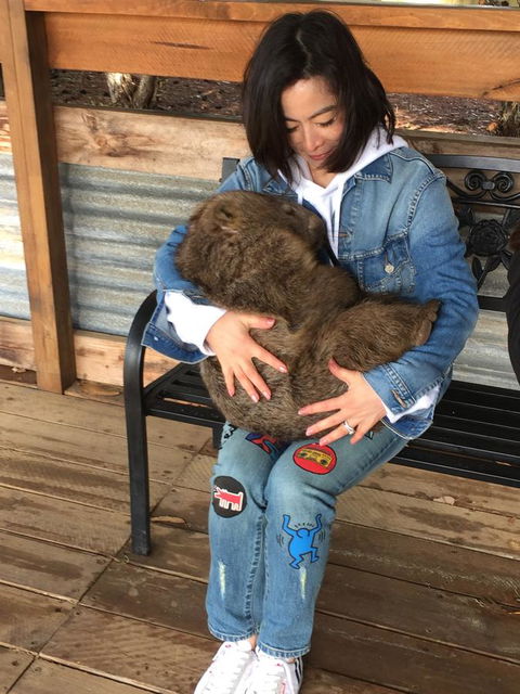 Sea Dragon Kangaroo Island - Hotel Accommodation 34