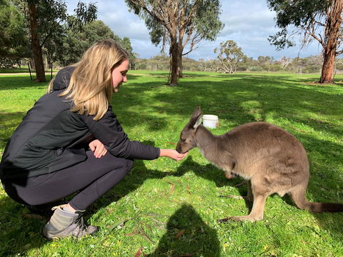 Sea Dragon Kangaroo Island - Hotel Accommodation 33