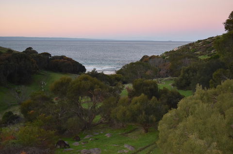 Sea Dragon Kangaroo Island - Hotel Accommodation 30