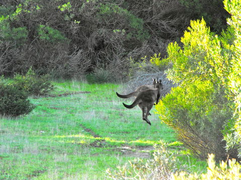 A Dune Escape - Hotel Accommodation 25