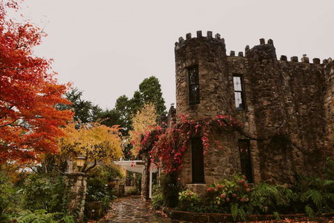 The Manor Basket Range - Hotel Accommodation 15