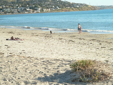 Brighton Beach House - Hotel Accommodation 12