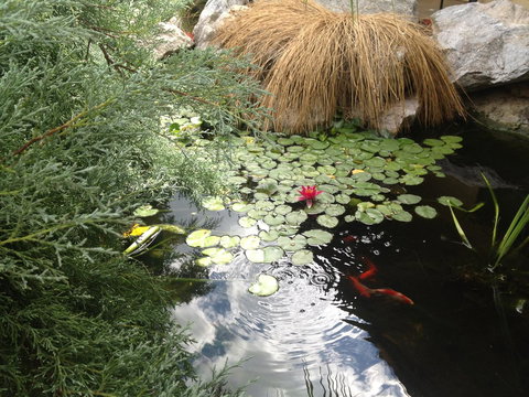 Ten Dollar Town Motel - Hotel Accommodation 16