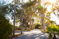 Book Tumby Bay Accommodation Vacations Hotel Accommodation Hotel Accommodation