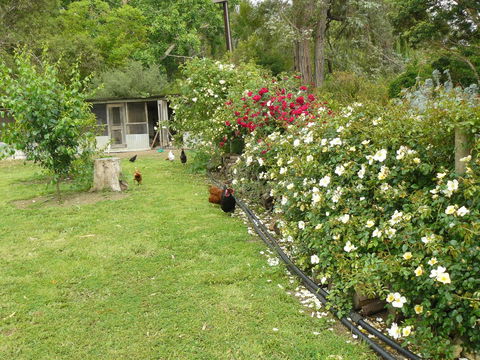 Camawald Coonawarra Cottage B&B - Hotel Accommodation 3