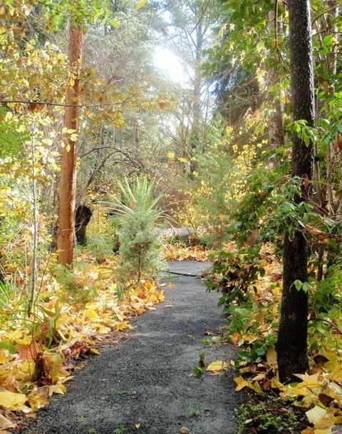 Aldgate Valley Bed And Breakfast - Hotel Accommodation 43