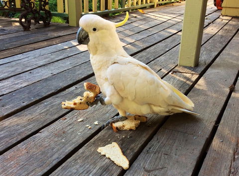 Aldgate Valley Bed And Breakfast - Hotel Accommodation 40