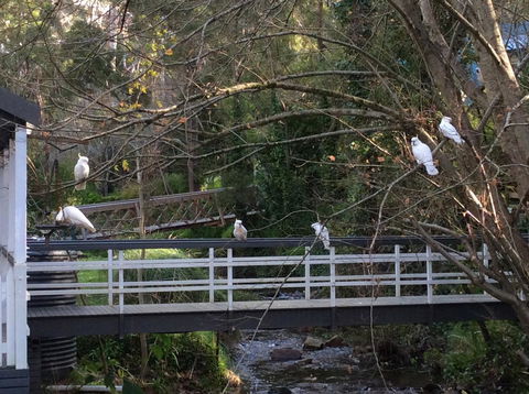 Aldgate Valley Bed And Breakfast - Hotel Accommodation 41