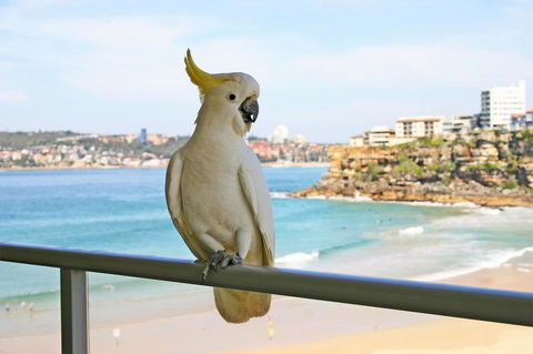 Beachfront Bliss - Hotel Accommodation 23