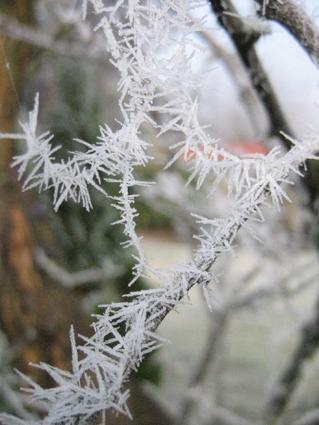 Vineyard Cottage BnB - Hotel Accommodation 16