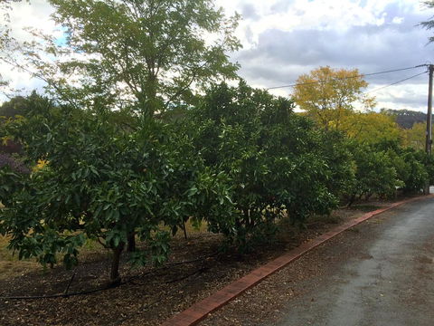 Vineyard Cottage BnB - Hotel Accommodation 11