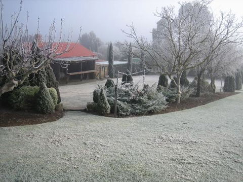 Vineyard Cottage BnB - Hotel Accommodation 15