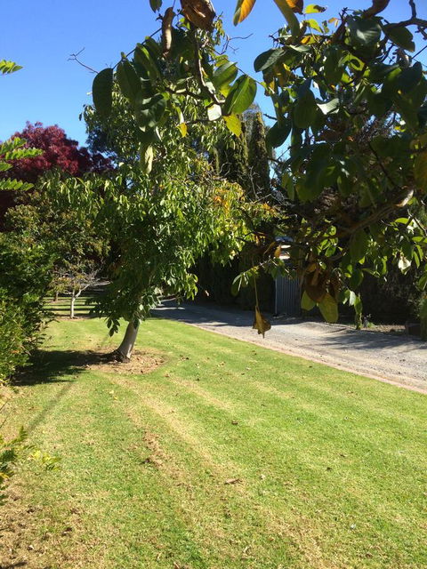 Vineyard Cottage BnB - Hotel Accommodation 17