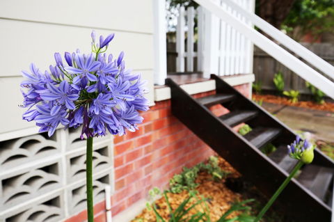 Hudson Bay @ Basin View-Pet Friendly-15 Mins To Hyams Beach - Hotel Accommodation 38