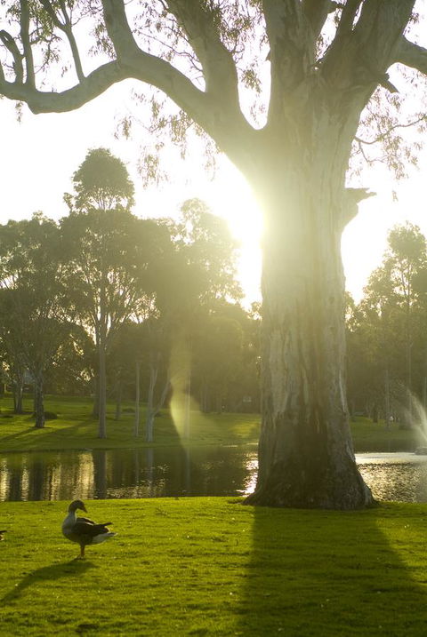 Serafino McLaren Vale - Hotel Accommodation 15