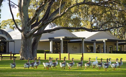 Serafino McLaren Vale - Hotel Accommodation 0