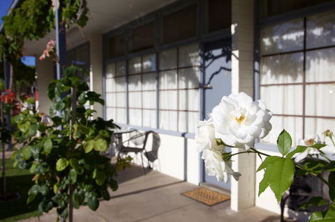 Guichen Bay Motel - Hotel Accommodation 33