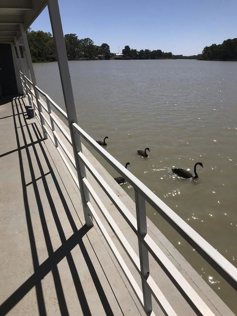 Murray River Queen - Hotel Accommodation 7