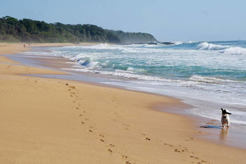 Culburra Beachhouse - Hotel Accommodation 7