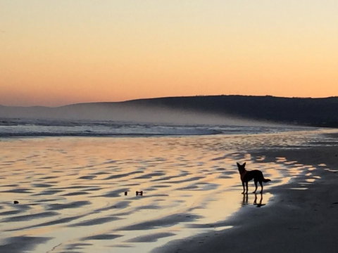 Goolwa Marinerâ€™s Cottage - Free Wifi And Pet Friendly - Centrally Located In Historic Region - Hotel Accommodation 35