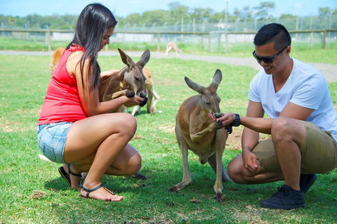 One Mile Retreat - Hotel Accommodation 25