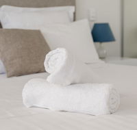 Ther-Rich Elegant 1BR Apartment in Walkerville - Hotel Accommodation