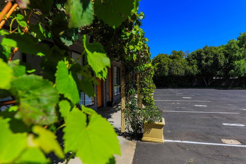 Country Roads Motor Inn Naracoorte - Hotel Accommodation 16