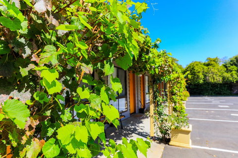 Country Roads Motor Inn Naracoorte - Hotel Accommodation 18