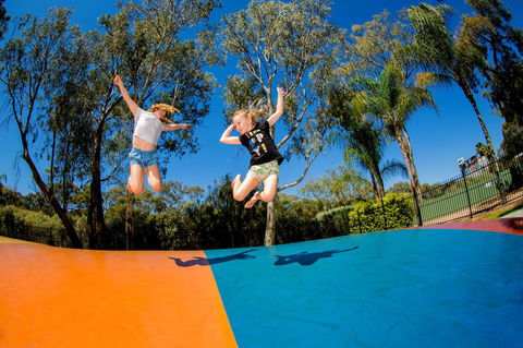 BIG4 Renmark Riverfront Holiday Park - Hotel Accommodation 37