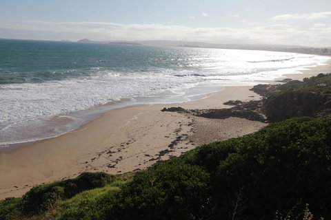 Southern Sands\' Beachfront Apartment - Hotel Accommodation 19