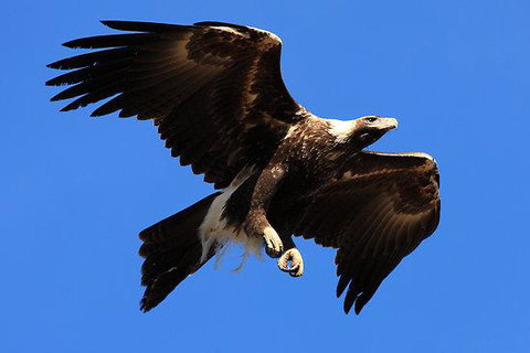 Eagles Range - Hotel Accommodation 16