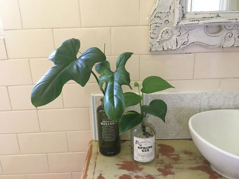 Yallaroo Cottage - Hotel Accommodation 13