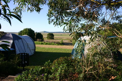 Millicent Hillview Caravan Park - Hotel Accommodation 43