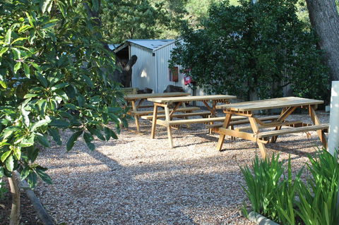 Millicent Hillview Caravan Park - Hotel Accommodation 9