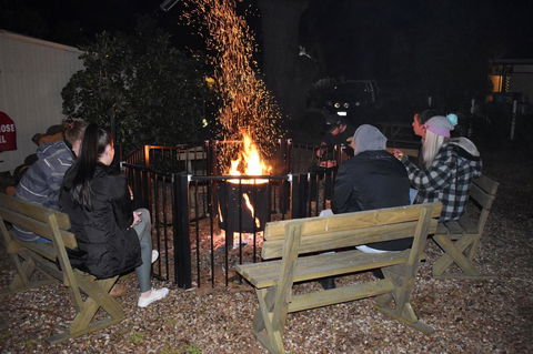 Millicent Hillview Caravan Park - Hotel Accommodation 1