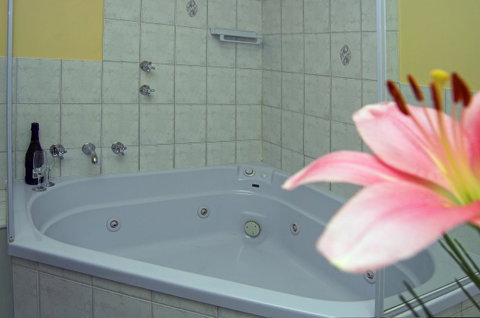 Victoria Hotel Strathalbyn - Hotel Accommodation 15